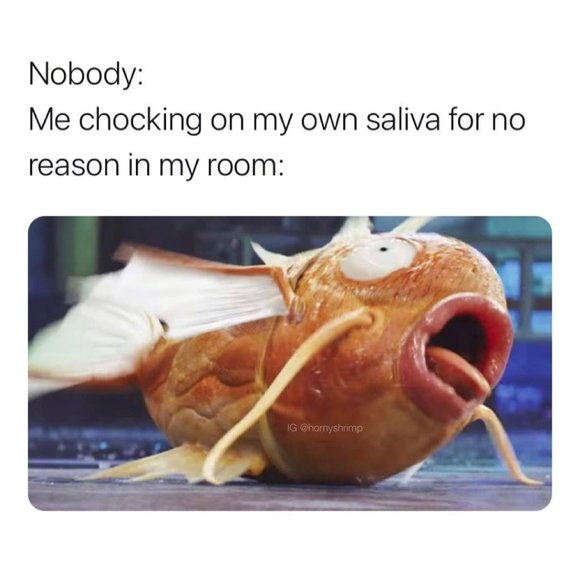 Meet your Posher, Jessica - Picture 2 of 4